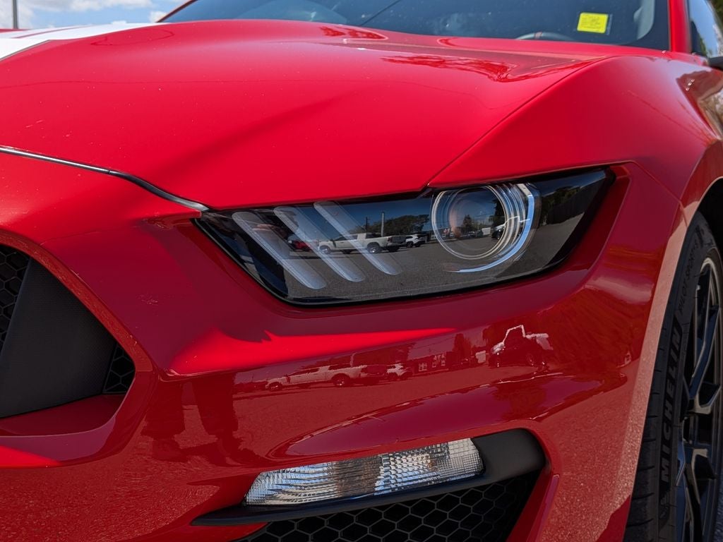 2019 Ford Mustang Shelby GT350