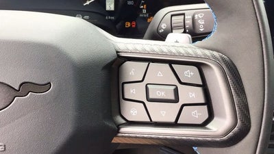 2025 Ford Mustang Dark Horse