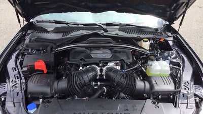 2025 Ford Mustang Dark Horse