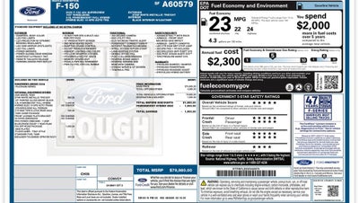 2025 Ford F-150 Platinum